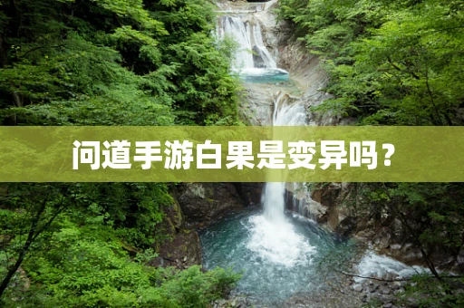 问道手游白果是变异吗？