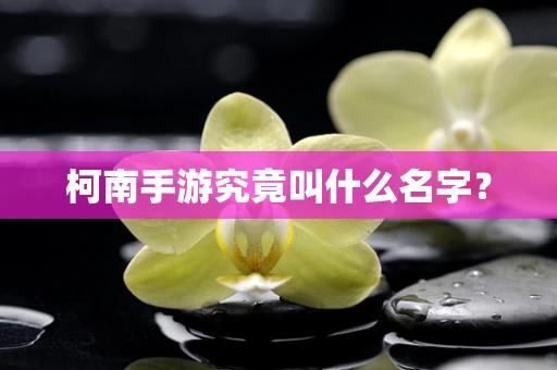 柯南手游究竟叫什么名字？