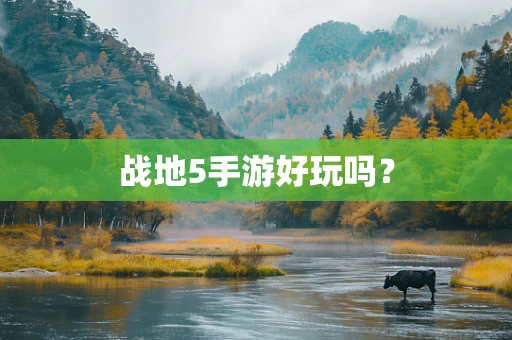 战地5手游好玩吗？