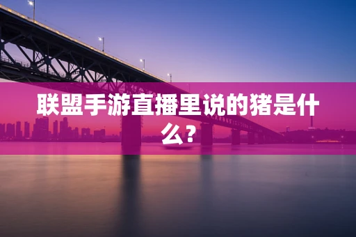 联盟手游直播里说的猪是什么？
