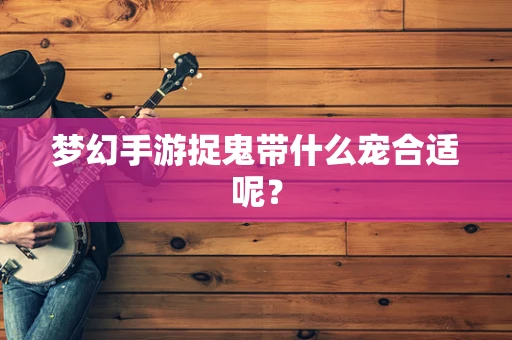 梦幻手游捉鬼带什么宠合适呢？