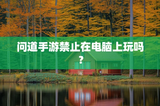 问道手游禁止在电脑上玩吗？