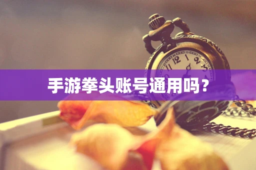 手游拳头账号通用吗？