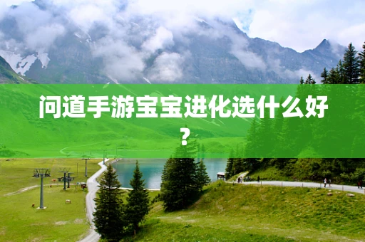 问道手游宝宝进化选什么好？