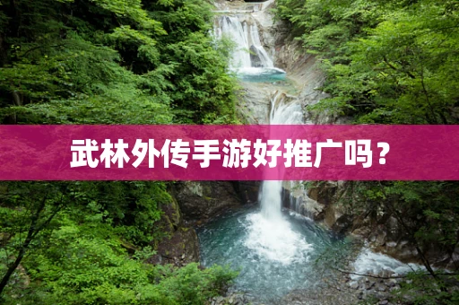 武林外传手游好推广吗？