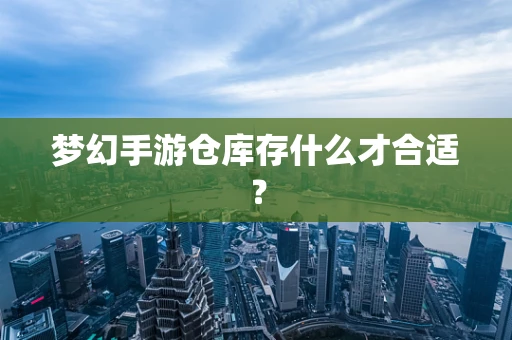 梦幻手游仓库存什么才合适？