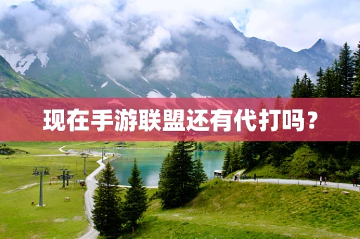 现在手游联盟还有代打吗？