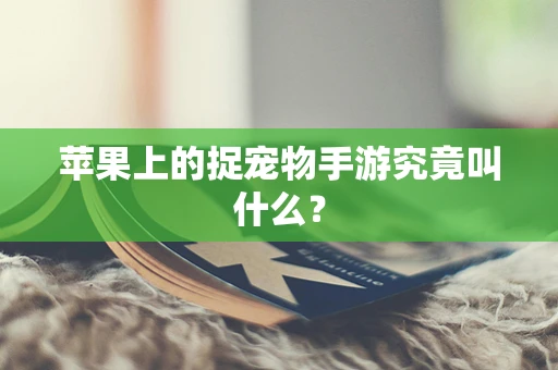 苹果上的捉宠物手游究竟叫什么？