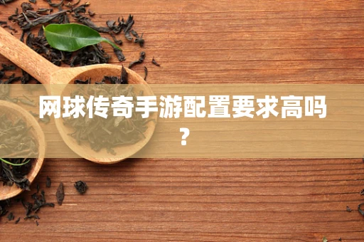 网球传奇手游配置要求高吗？