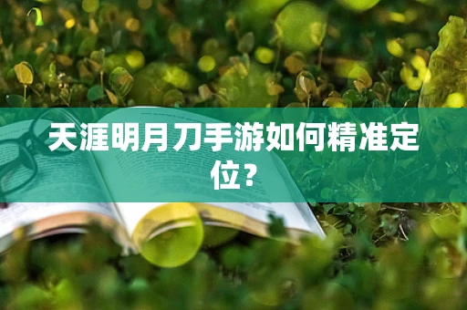 天涯明月刀手游如何精准定位？
