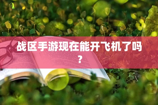 战区手游现在能开飞机了吗？
