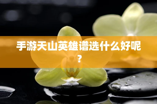 手游天山英雄谱选什么好呢？