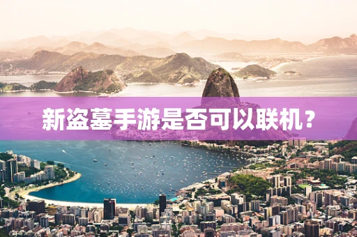 新盗墓手游是否可以联机？