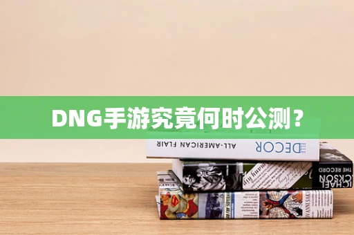 DNG手游究竟何时公测？