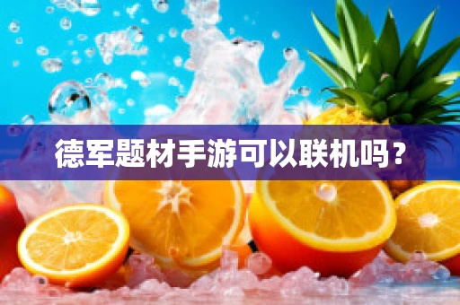 德军题材手游可以联机吗？