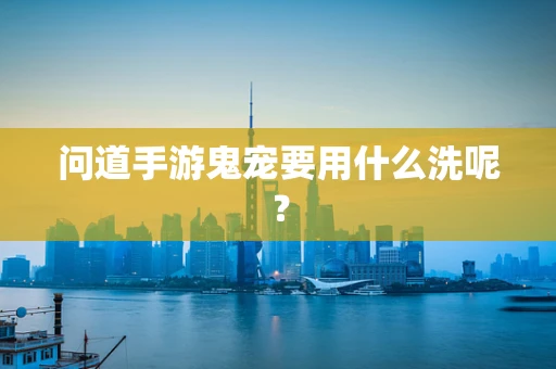 问道手游鬼宠要用什么洗呢？