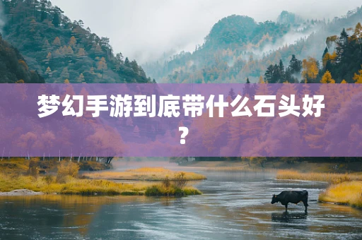 梦幻手游到底带什么石头好？