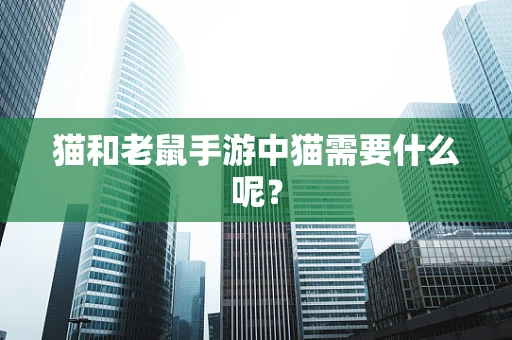 猫和老鼠手游中猫需要什么呢？