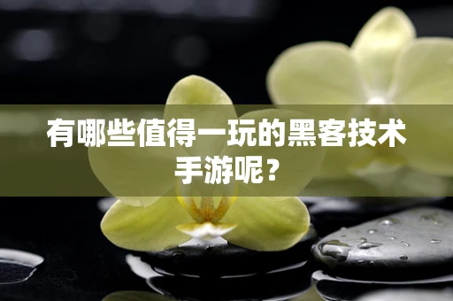 有哪些值得一玩的黑客技术手游呢？