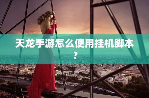 天龙手游怎么使用挂机脚本？