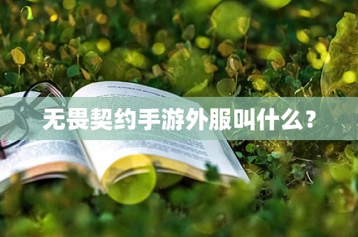 无畏契约手游外服叫什么？