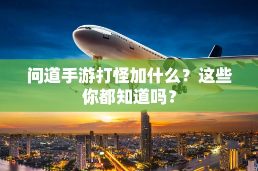 问道手游打怪加什么？这些你都知道吗？