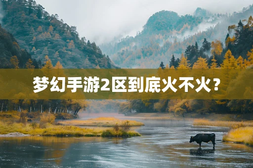 梦幻手游2区到底火不火？