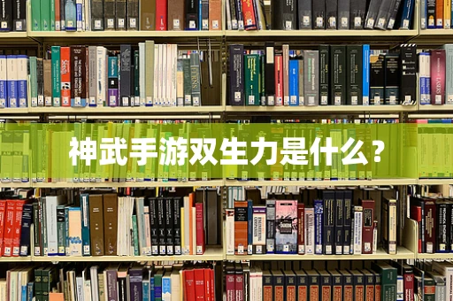 神武手游双生力是什么？