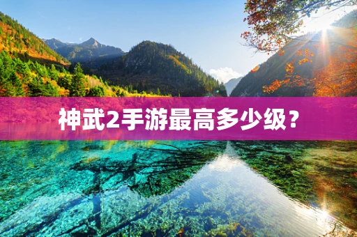 神武2手游最高多少级？