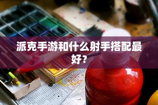 派克手游和什么射手搭配最好？