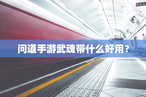 问道手游武魂带什么好用？