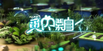 标本零手游可以联机吗？